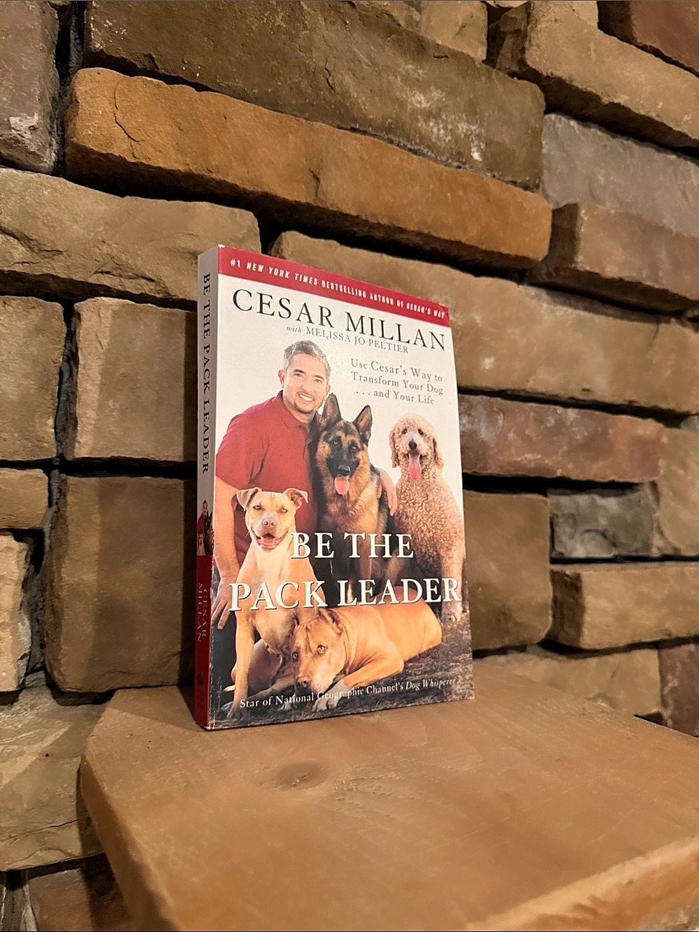 HarperCollins Be the Pack Leader Dog Training Book